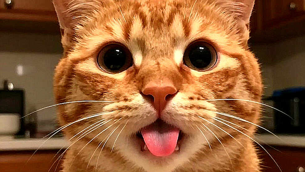 Thất bại im lặng: Khi bảng phân tích đầy ắp lại là lời nói dối lớn nhất của ngành esports