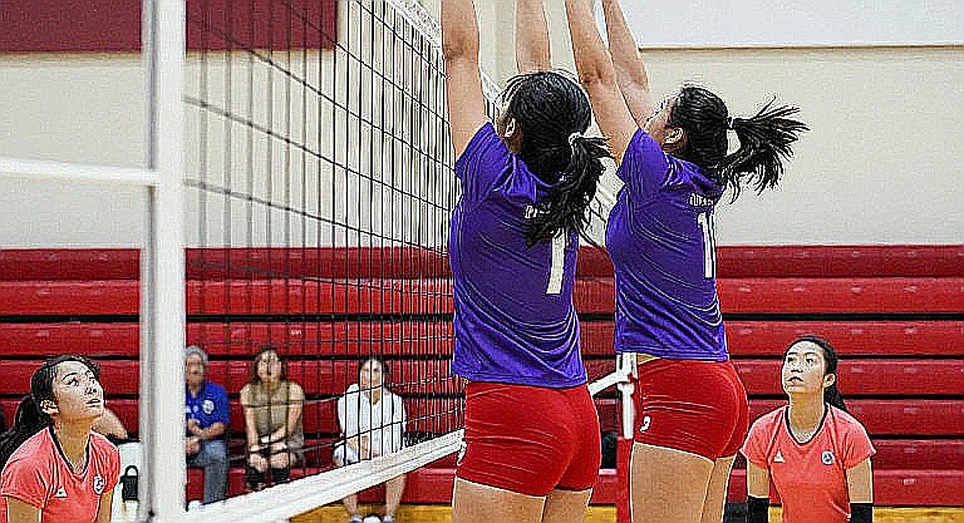 Vietnamese Volleyball at a Crossroads: Between Grand Ambitions and Harsh Reality Vietnamese Volleyball at a Crossroads: Between Grand Ambitions and Harsh Reality